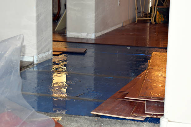 Professional Burst Pipe Cleanup technician working in Saegertown, PA